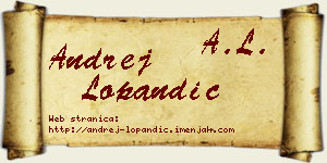 Andrej Lopandić vizit kartica